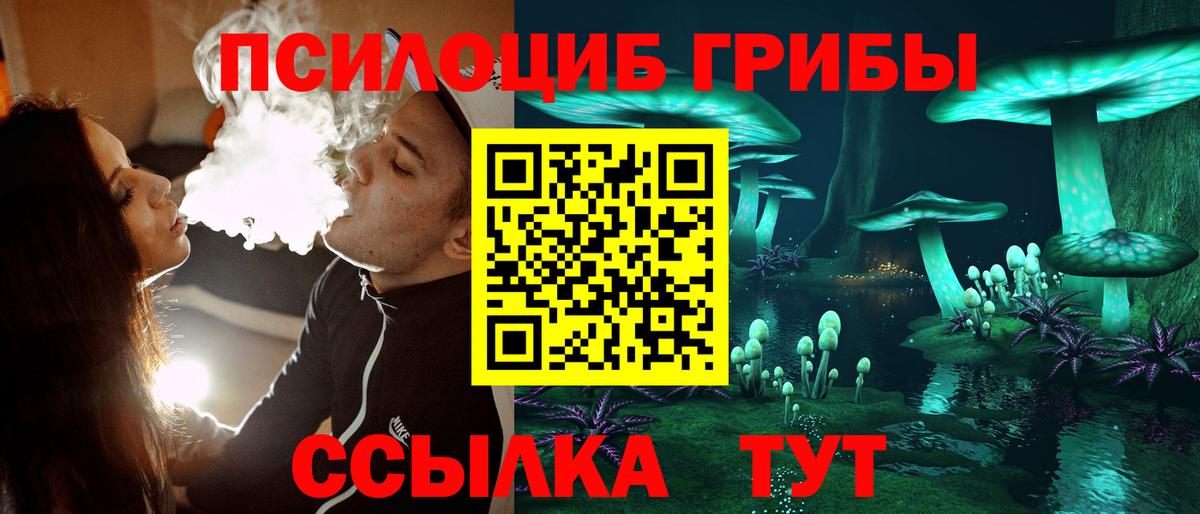 Домодедово  Галлюциногенные грибы Psilocybine cubensis  Вход с VPN 