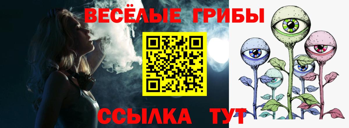 Галлюциногенные грибы Psilocybine cubensis Домодедово
